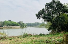 Sốt đất khắp nơi: Đất ven ao được hét giá lên đến 4 Tr đồng/m2 được "đất tranh chấp không mua bán" 