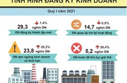 Đón "sóng đất", doanh nghiệp bất động sản thành lập mới tăng đột biến
