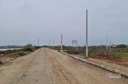 Cò đất 'lướt cọc' tạo sóng
