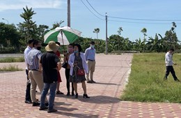 Giá đất tăng nóng tháng cận Tết