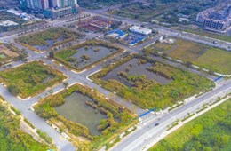 Đấu giá đất nghìn tỷ ở Thủ Thiêm: Hiệp hội, viện nghiên cứu đồng loạt gửi kiến nghị