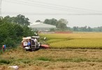 Đến năm 2030, Đồng Nai sẽ chuyển đổi hàng ngàn héc-ta đất nông nghiệp sang phi nông nghiệp