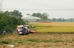 Đến năm 2030, Đồng Nai sẽ chuyển đổi hàng ngàn héc-ta đất nông nghiệp sang phi nông nghiệp