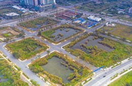 Đề xuất lập hội đồng thẩm định doanh nghiệp tham gia đấu giá từ vụ 'bỏ cọc' Thủ Thiêm