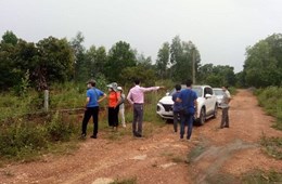 Đất nông nghiệp, đất vườn vẫn sục sôi những ngày cận Tết