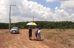 "Sốt" đất nông nghiệp, nhà đầu tư mạnh tay xuống tiền bất chấp rủi ro