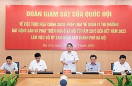 Chủ tịch Hà Nội Trần Sỹ Thanh kiến nghị không phân biệt nhà ở xã hội hay thương mại