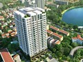 CC Platinum Complex