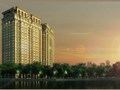 D’. Le Pont D’or -36 Hoàng Cầu