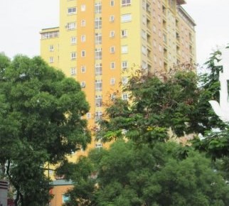 335 Cầu Giấy