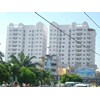 Chung cư 203 Nguyễn Trãi