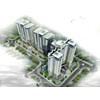 CT2 Viettel Trung Văn