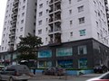 Khu 137 Nguyễn Ngọc Vũ