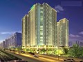 Eco Green City