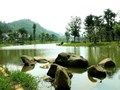 Xanh Villas