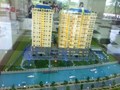 Homyland 2