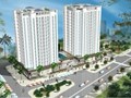 Long Phụng Apartment