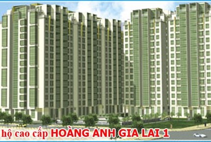 Hoàng Anh Gia Lai 1