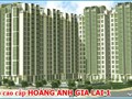 Hoàng Anh Gia Lai 1