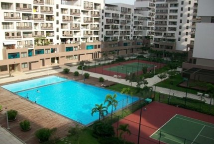 The Panorama