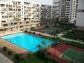 The Panorama
