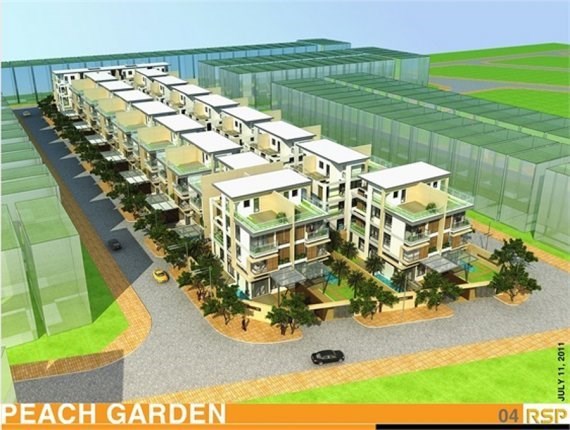 Peach Garden
