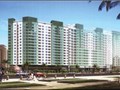 Chung cư Nguyễn Văn Cừ