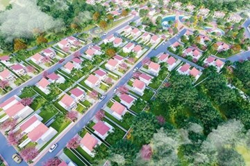 Pine Valley Bảo Lộc