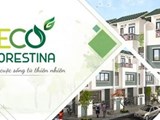 Eco Forestina