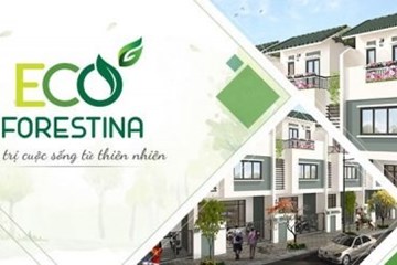 Eco Forestina