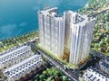 Hanhomes Blue Star