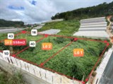 Bán gấp đất nền Biệt Thự view thoáng đường Vạn Thành, Đà Lạt 558m2