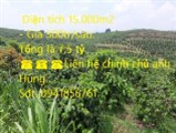 Thân gửi ace bán giúp. hoa hồng 2% nhận đủ