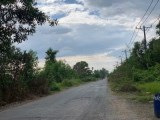 ĐẤT VIEW SÔNG: Bán nhà vườn mặt tiền đường Tam Tân, Xã Tân An Hội , Củ chi