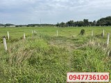 ⭐️Ngộp ngân hàng chính chủ bán gấp đất Full thổ cư đường 576 Trung Lập Hạ, Củ Chi, HCM; 2,6 tỷ;