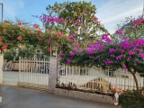 Villa đẹp ở Phường 11, TP. Đà Lạt, sổ riêng xây dựng, giá siêu rẻ chỉ 9,5 tỷ