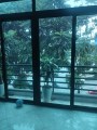 Bán gấp Siêu Phẩm Nguyễn Chánh # Cầu Giấy 7T Thang máy, Vỉa hè 63m2  Giá Trên 10 tỷ 0979312111