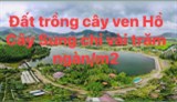 730m2 đất vườn ven Hồ Cây Sung, Diên Tân, Diên Khánh chỉ 390tr ngang 23m view Hồ.