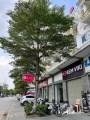 Bán Shophouse Vạn Phúc 110m2x6 Tầng - Thang Máy, Khu Vực Kinh doanh Đỉnh, Mt: 9.6m, Đường to, Vỉa