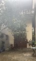 Bán nhà tại phường Tứ Liên ,Quận Tây Hồ, 85tr/m2; 0984299511