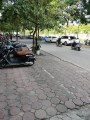 Bán nhà phố Nguyễn Khánh Toàn 50m2 - lô góc, ôtô Kinh Doanh đỉnh, giá nhỉnh 8 tỷ