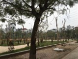 Bán nhà phân lô Hàng Bè, Kiến Hưng, cạnh công viên, 50m2, 4 tầng, ô tô nhỉnh 6 tỷ