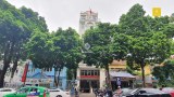 Bán nhà mặt phố Trần Hưng Đạo, Hoàn Kiếm, xây Building cực đỉnh, 224m2, MT12m, 128 tỷ