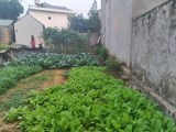Cần bán đất thôn Cán Khê Nguyên Khê Đông Anh chỉ  2,8 tỷ với diện tích 75m2