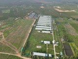 Bán gấp 12,5  hecta trại heo xã Hàm Cường, Hàm Thuận Nam giá ngộp,đang cho thuê 450 triệu/tháng