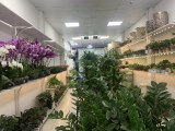 BÁN NHÀ CHÍNH nhà. 98/110m, 3 tầng, phố Nguyễn Khánh Toàn kinh doanh sầm uất