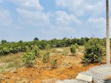 Săn mây ngay trung tâm Bảo Lộc chỉ 725tr