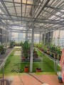 BÁN NHÀ MẶT PHỐ THƯỢNG ĐÌNH ,VỈA HÈ 6M, DT 65, MT 6M,GIÁ 26 TỶ