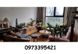 ⭐Chính chủ bán nhanh CHCC cao cấp 2PN đủ đồ tháp E3 Emerald Đình Thôn, Nam Từ Liêm; 3,9 tỷ;