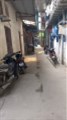 Bán  Nhà Phú Đô, Lô góc, Ô tô gần, 2 Thoáng 74, m2, 760 Triệu